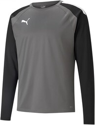 PUMA teamLIGA Training Sweat