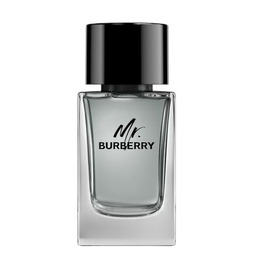 BURBERRY Mr. Burberry EDT spray 100ml