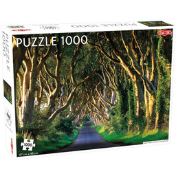 TACTIC Puzzle Lovers Dark Hedges in Northern Ireland