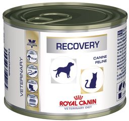 Royal Canin/ Feline Veterinary Diet RECOVERY konserwa -