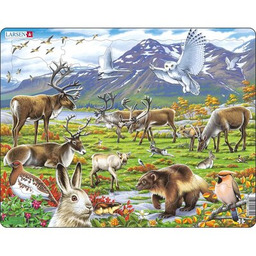 LARSEN Układanka Maxi Flora i fauna tundry arktycznej