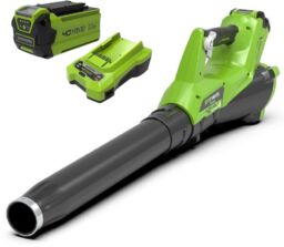 GreenWorks G40ABII - Akumulatorowa dmuchawa 40 V