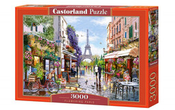 Castorland, puzzle, Kwitnący Paryż, 3000 el.