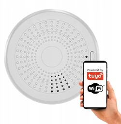 Czujnik Alarm Detektor 2w1 Dual Dymu Co Czadu