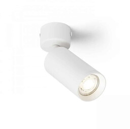 Oprawa sufitowa BELENOS R13363 - Rendl
