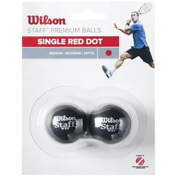 Piłki Wilson sq. R WRT617700