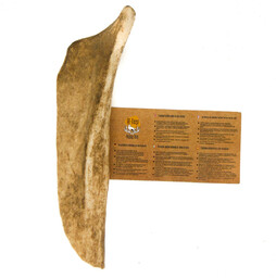 XL Soft 19-21 cm 81-120 gr Gryzak