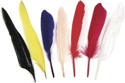 Rayher 8525449 pióra indiańskie, 17,5 cm, worek 12