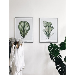 Pakamera Plakat Komplet dwóch wydruków 50x70