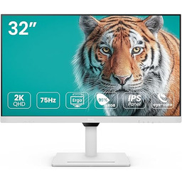 BenQ GW3290QT 80.0 cm 2560x1440 QHD IPS USB-C