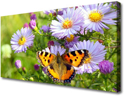 Obraz na Płótnie Kwiaty Motyl Roślina Natura