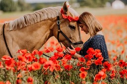 Uwiecznij piękne chwile sesja fotograficzna w plenerze
