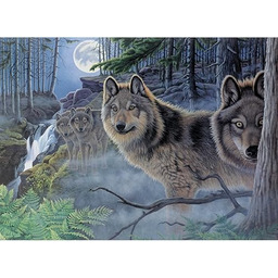 Royal Brush Zestaw do malowania według numerów 15,375