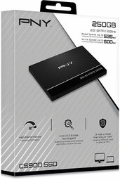Pny Dysk SSD 250GB SSD7CS900-250-RB