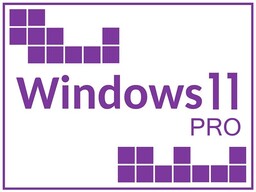Windows 11 Professional OEM ESD e-Key
