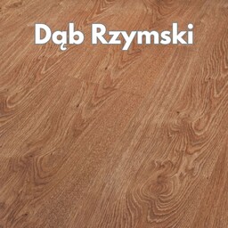 Panele podłogowe Dąb Rzymski AC4 8mm Power Plus