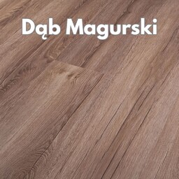 Panele podłogowe Dąb Magurski AC4 8mm Power Plus