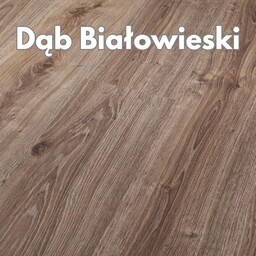 Panele podłogowe Dąb Białowieski AC4 8mm Power Plus