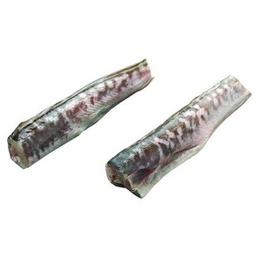 Miętus królewski tusza świeża ryba