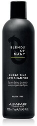 Alfaparf Milano Blends Of Many, szampon energetyzujący, 250ml
