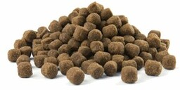 VERSELE-LAGA Opti Life Senior Mini 2,5kg