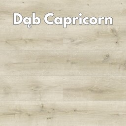 Panele podłogowe Dąb Capricorn AC5 10mm symbol D4567