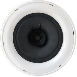 TONSIL Głośnik instalacyjny ZGSU 20 Pasiv Biały (1