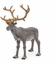 Papo WILD ANIMAL KINGDOM Tiere figurka renifera, 50117,