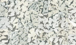 Tapeta Arte Moooi Armoured Boar Black&White MO2111
