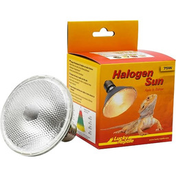 Lucky Reptile Halogen Sun dwupak - Promiennik ciepła