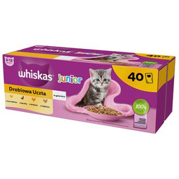 WHISKAS Karma dla kota Junior Drobiowa Uczta (40