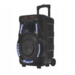 Power Audio Głośnik przenośny Manta SPK5033 Bluetooth Karaoke
