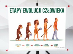 Plansza - Etapy Ewolucji Człowieka