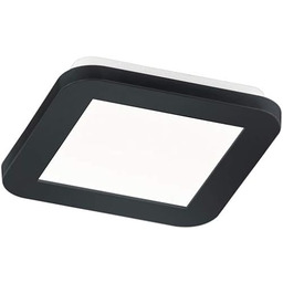 Trio Leuchten Design Square Sufit Design czarny 17