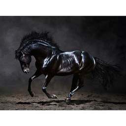 Obraz CANVAS SILVER1 85 x 113 x 2,8