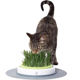 Catit Senses 50755 Trawa dla Kota, UWAGA 9,