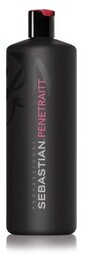 Sebastian Professional Penetraitt Strengthening and Repair Szampon