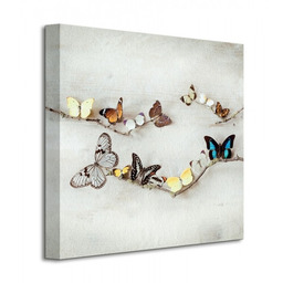 Array Of Butterflies - Motyle - Obraz