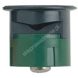 Dysza 12Q/H