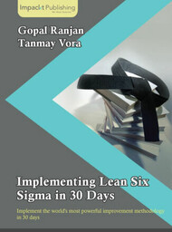 Implementing Lean Six Sigma in 30 Days -
