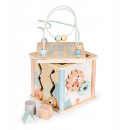 Drewniana kostka edukacyjna sorter klocki Ecotoys