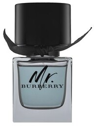 Burberry Mr. Burberry woda toaletowa dla mężczyzn 50