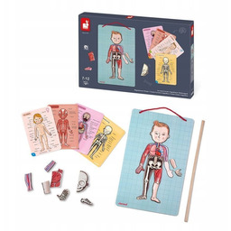 Układanka magnetyczna Ciało człowieka, Janod