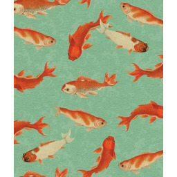 Tapeta Koi Wallcolors