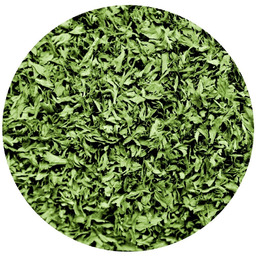KOLENDRA LIŚĆ SUSZONY 500g bez chemi aromatyczna