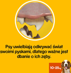 PEDIGREE DentaStix (średnie rasy) przysmak dentystyczny dla psów