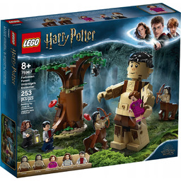 Lego 75967 Harry Potter Zakazany Las: spotkanie Umbridge