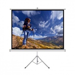 Ekran projekcyjny na statywie ART TS-70, 70'', 178x178,