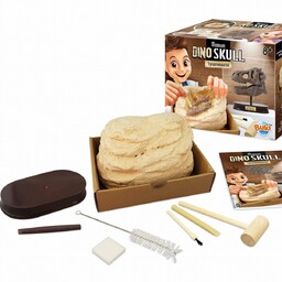 Buki Muzeum Czaszek Dinozaura Wykopaliska Dla Dzieci Tyranozaur