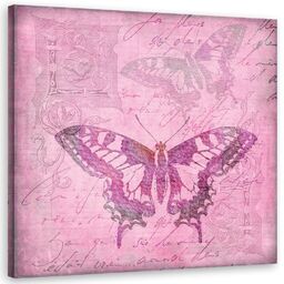 Obraz na płótnie, Stary różowy pergamin i motyl